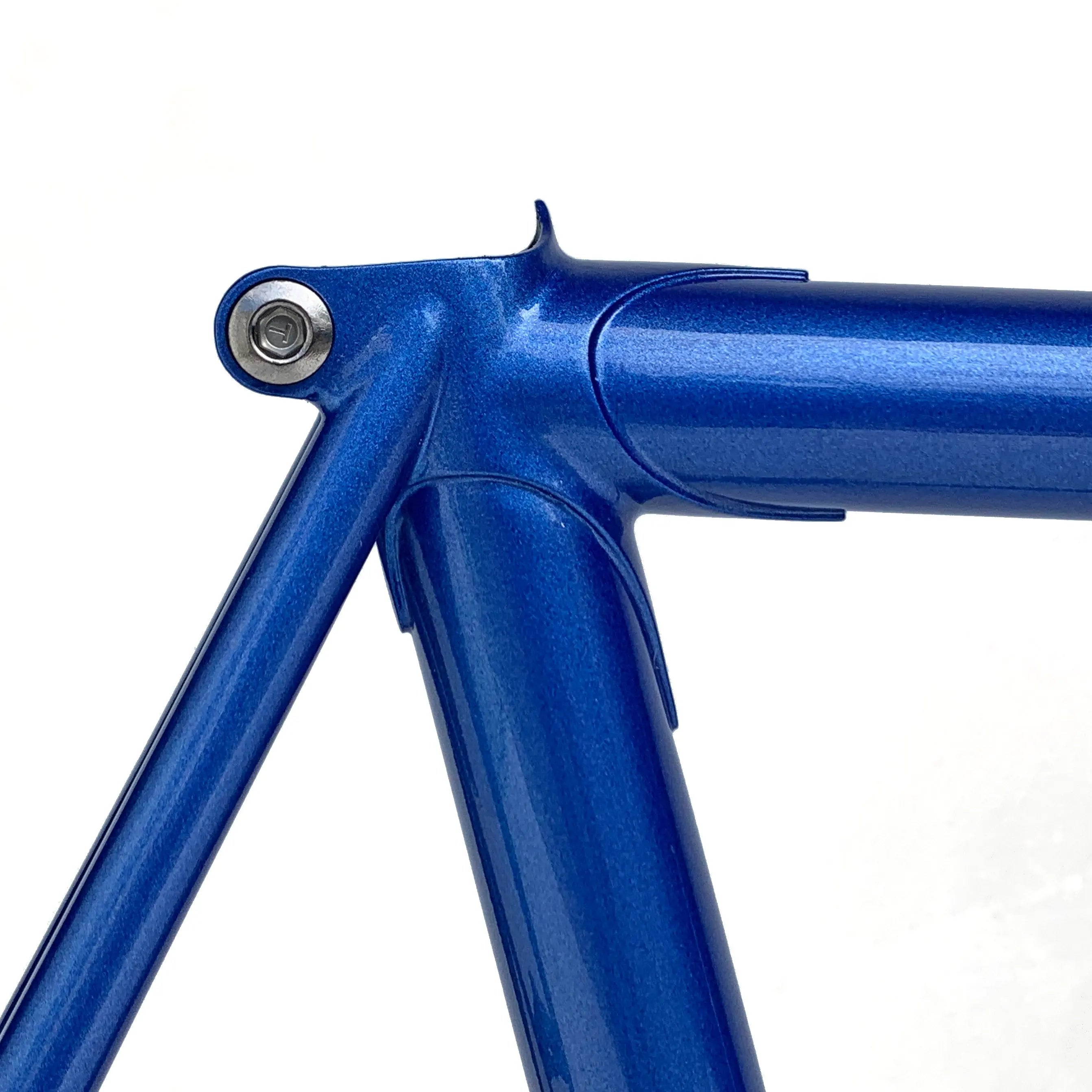 Metallic blue deals bike